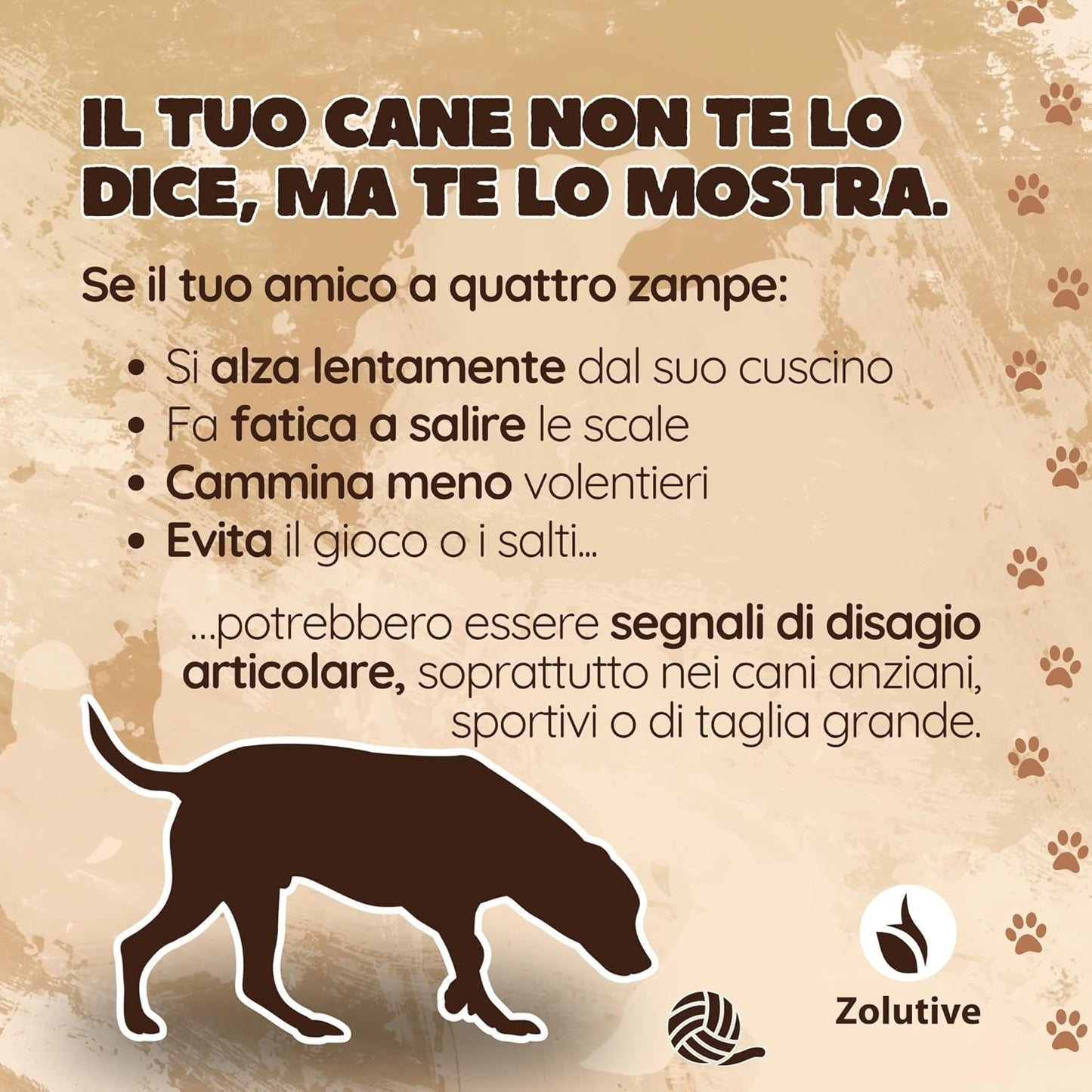 Integratore Articolazioni Cane 120 Compresse con Glucosamina, Condroitina, Curcuma, Artiglio del Diavolo, Vitamina C